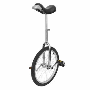 Monocycle 20" Argent Tige de Selle Reglable (Roue Alu)