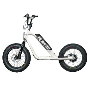 Trottinette Électrique RMS Bike 20F-X Blanc RAL 9010 Moteur 500 W Homologué NF EN 1476 (Dim. 1