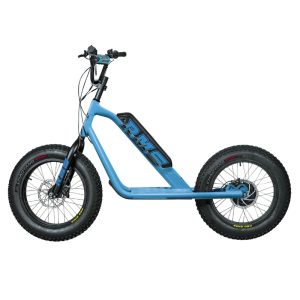 Trottinette Électrique RMS Bike 20F-X Bleu Clair RAL 5012 Moteur 500 W Homologué NF EN 1476 (Dim. 1