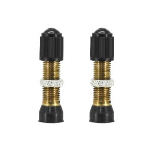 Valve de Pneu Tubeless Schrader Argent 44mm Obus Demontable (Vendu A La Paire Sur Carte)