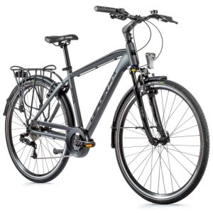 Velo Musculaire City Bike 28 Leader Fox Ferrara Homme Gris 8V (19'' - H48Cm - Taille L - Pour Adulte de 175Cm À 183Cm)